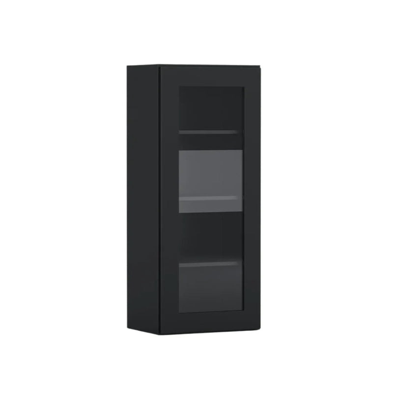 Black Shaker 15 Inch Wide 42 Inch Tall, One Glass Door