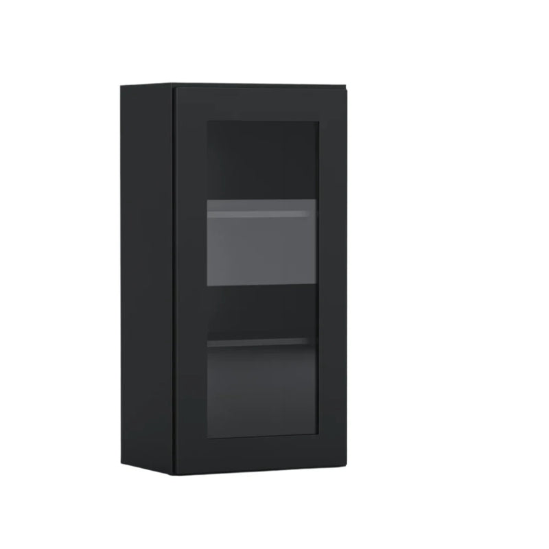 Black Shaker 21 Inch Wide, 36 Inch One Glass Door