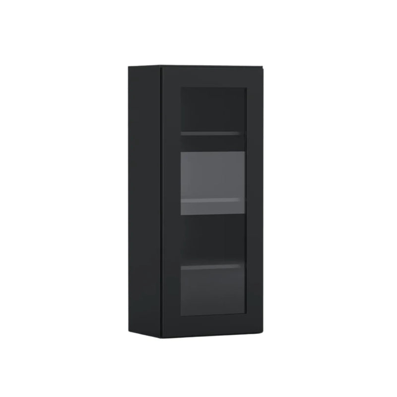 Black Shaker 18~Inch Wide, 42 inch tall One Door Standard Wall