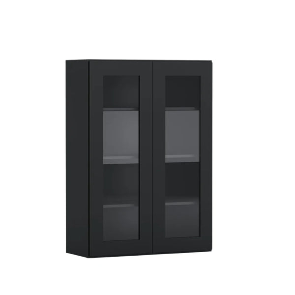 Black Shaker 24 Inch Wide, 42 Inch Tall Two Glass Doors